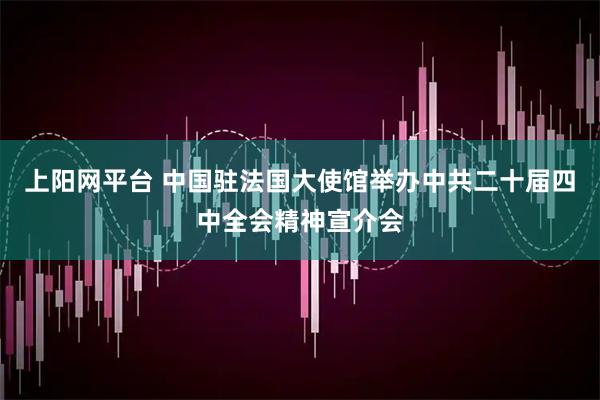 上阳网平台 中国驻法国大使馆举办中共二十届四中全会精神宣介会