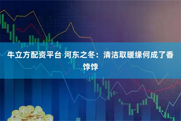 牛立方配资平台 河东之冬：清洁取暖缘何成了香饽饽