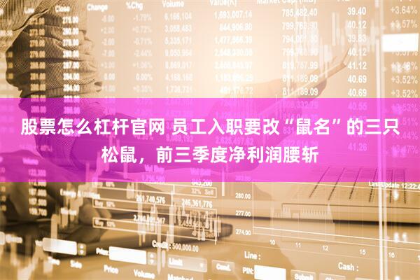 股票怎么杠杆官网 员工入职要改“鼠名”的三只松鼠，前三季度净利润腰斩