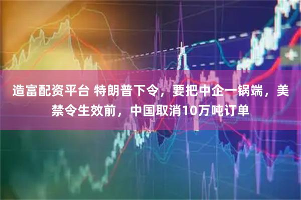 造富配资平台 特朗普下令，要把中企一锅端，美禁令生效前，中国取消10万吨订单