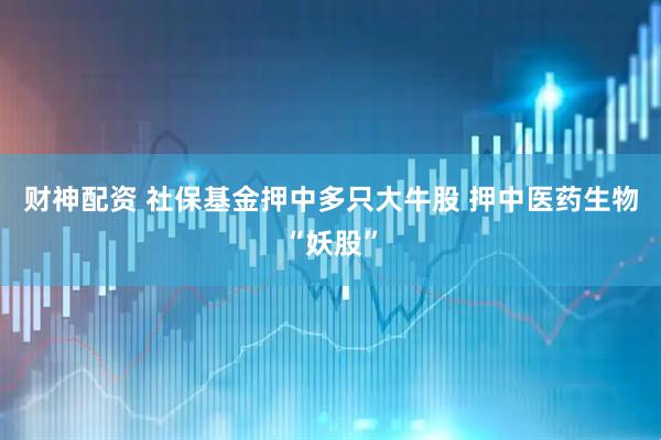 财神配资 社保基金押中多只大牛股 押中医药生物“妖股”